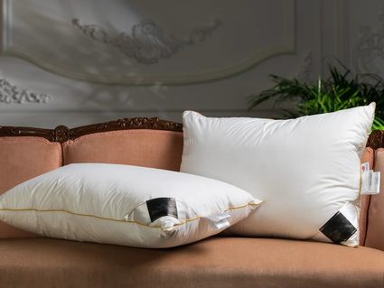 Подушка Trois Couronnes Clima Night Goose Down Pillow 40х60